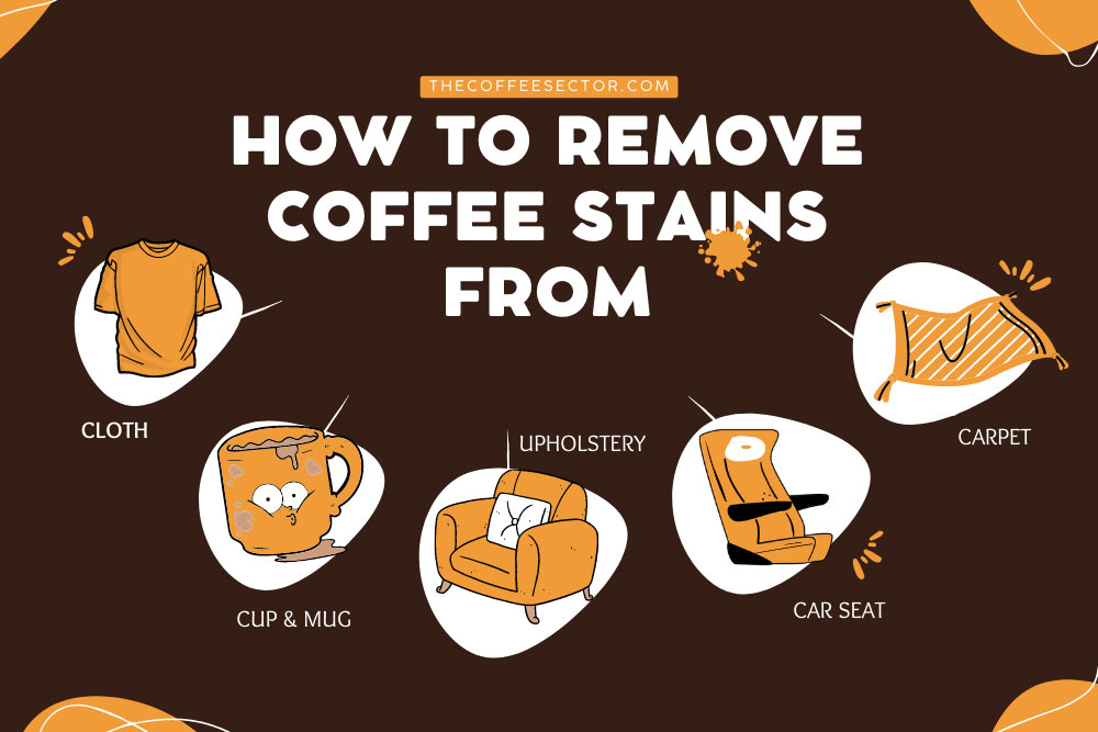 How to Remove Coffee Stains on Clothing Carpet Upholstery Cups Mugs Car Seat